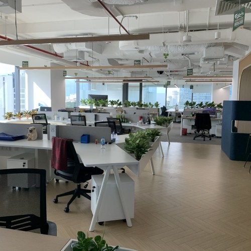 Truffaut literally trust